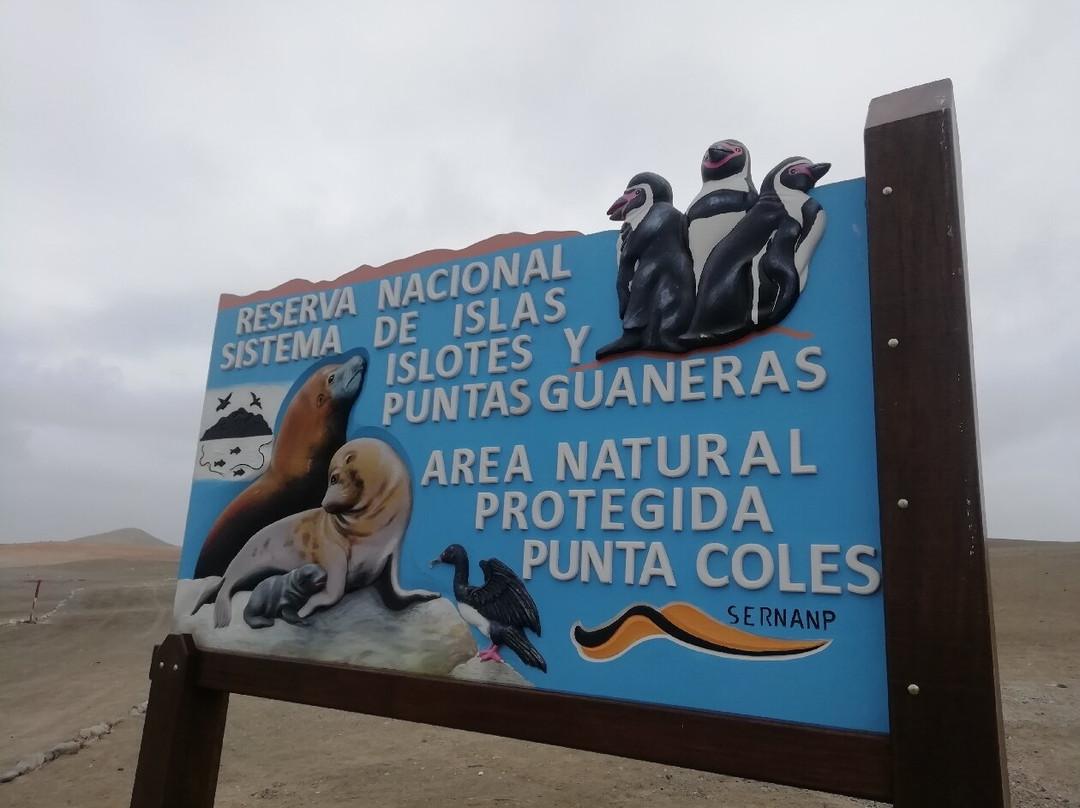 Punta de Coles-Ilo必去景点