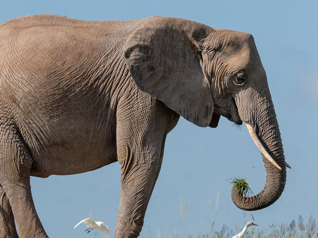 Taste Of Africa Adventures-Kimana必去景点