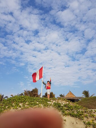 Hotel Villa Sirena主图