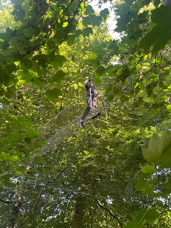 Ecopark Adventures Penzé-Taule必去景点