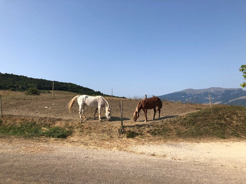 Maneggio La Guardata