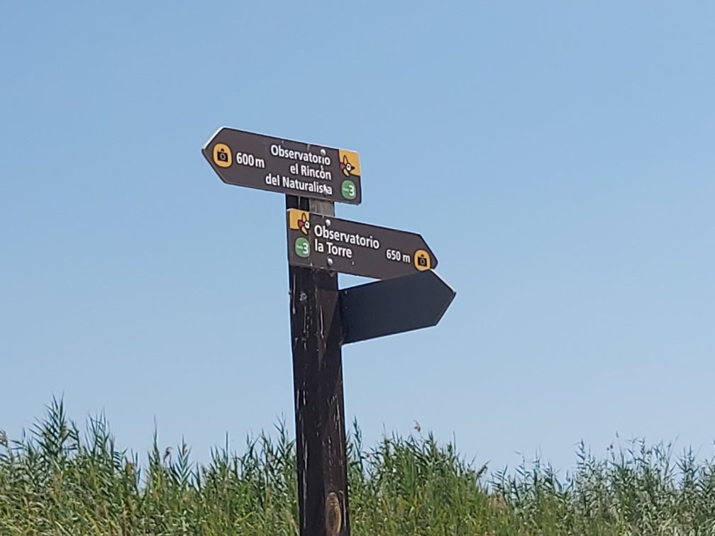 Parque Natural el Hondo-Crevillente必去景点