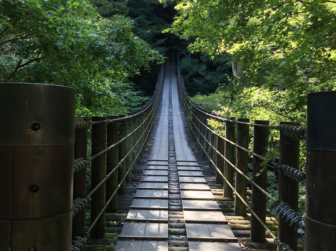 Shiomidaki Bridge景点图片
