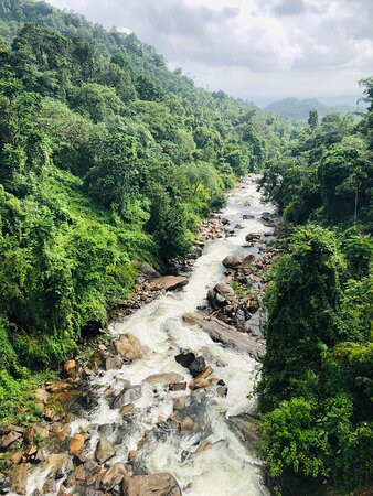 Thusharagiri Waterfalls景点图片