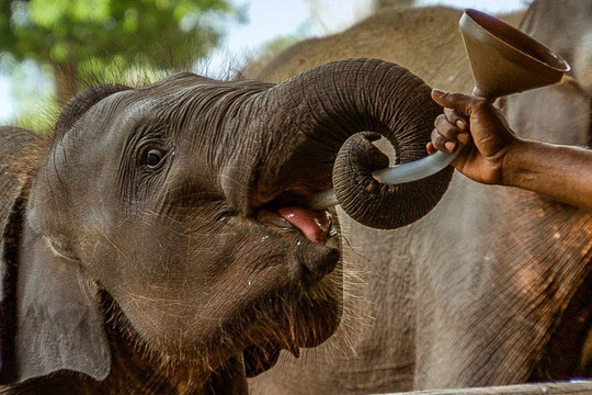 Lanka Tour Host-科伦坡必去景点