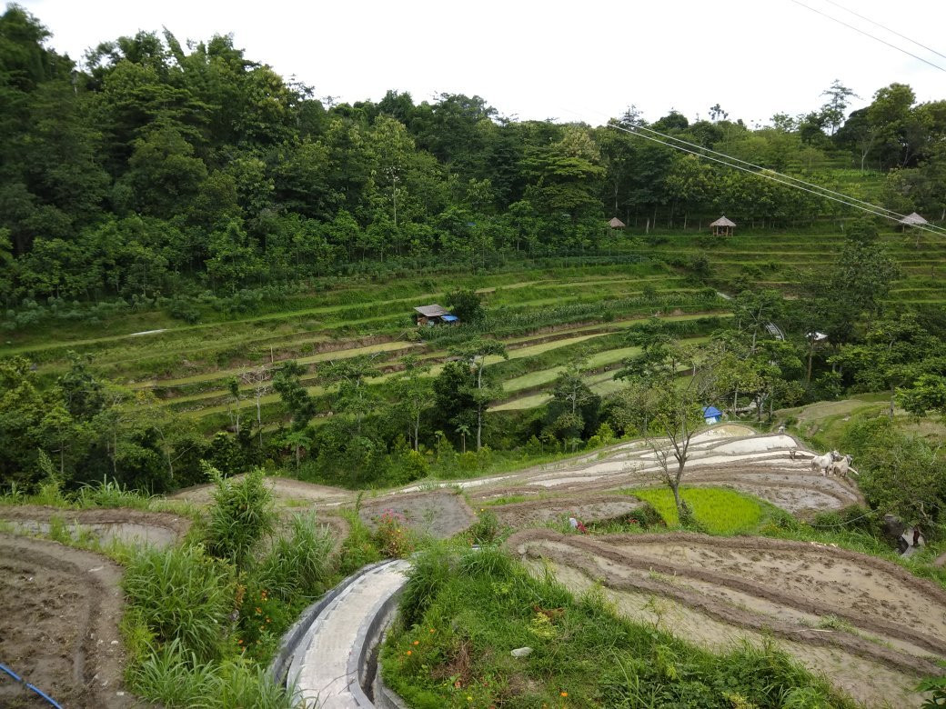 Rembang旅游攻略图片