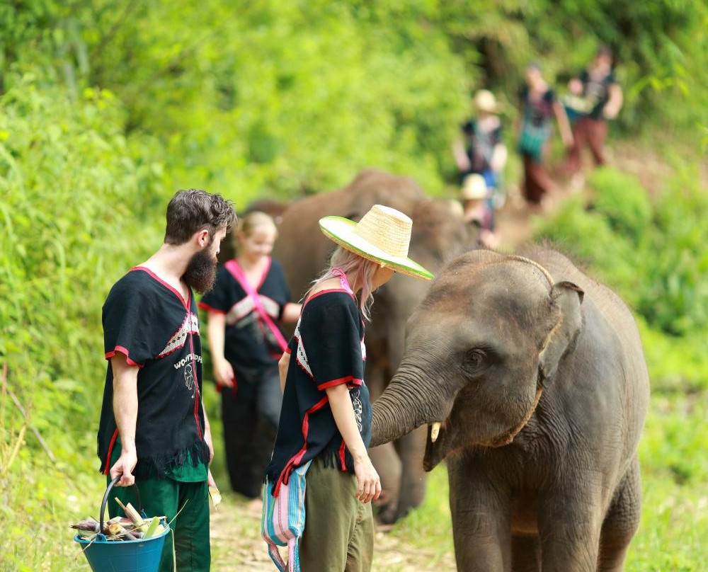 Happy Elephant Home-夜登必去景点