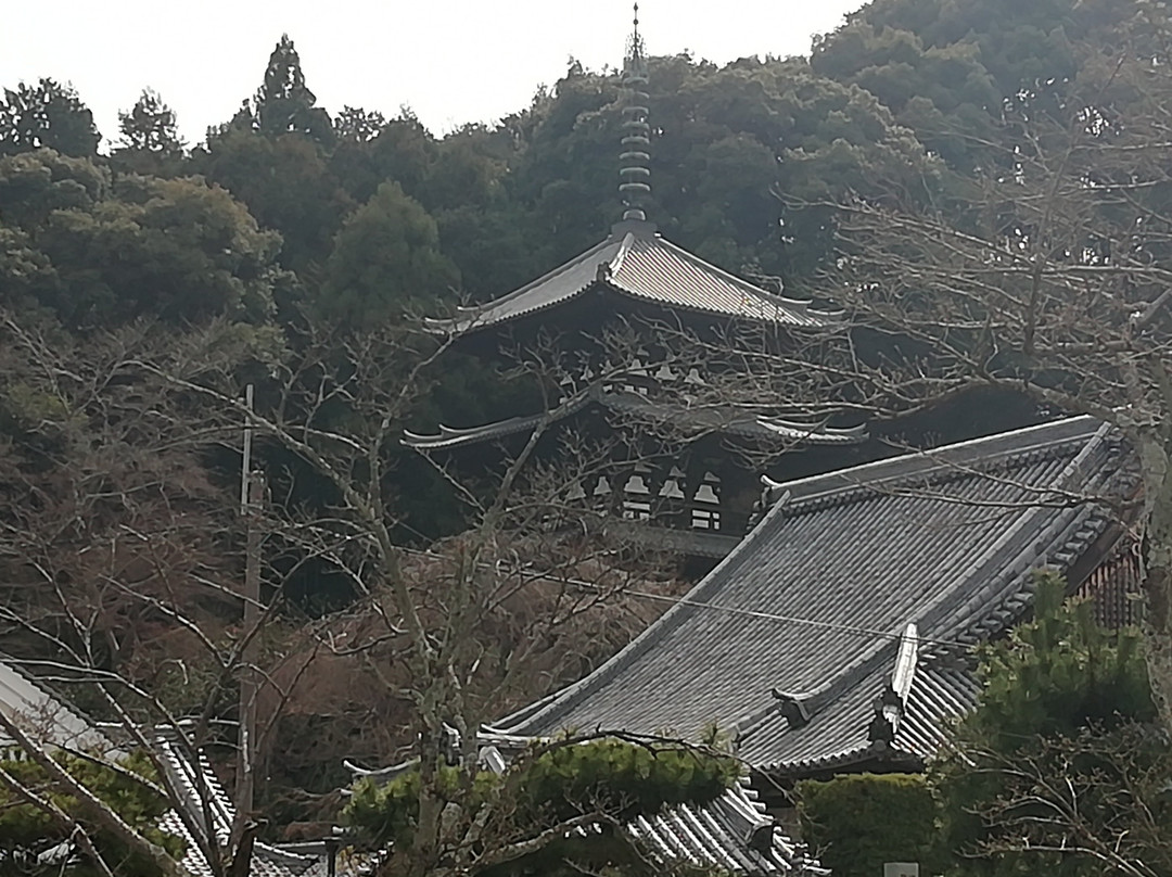 Taima Temple 2 Storey Tower景点图片