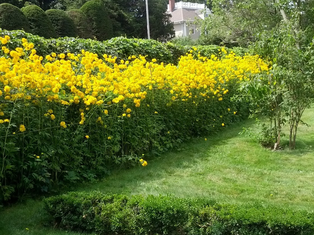 昆西旅游攻略图片