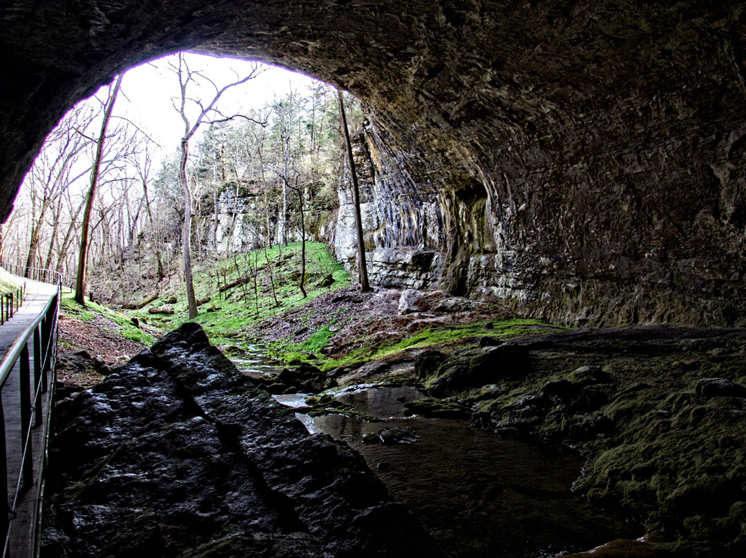 Smallin Civil War Cave景点图片