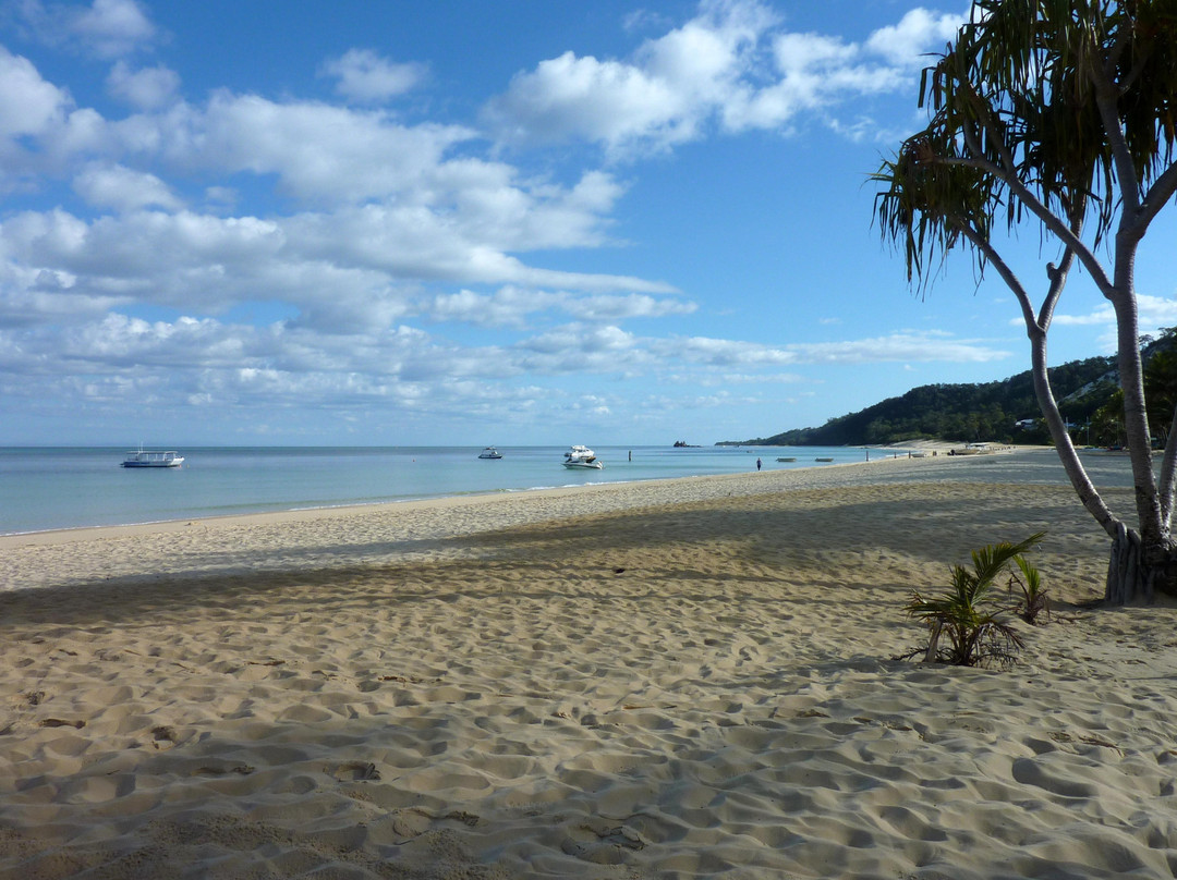 Tangalooma Wild Dolphin Feeding Program-天阁露玛必去景点