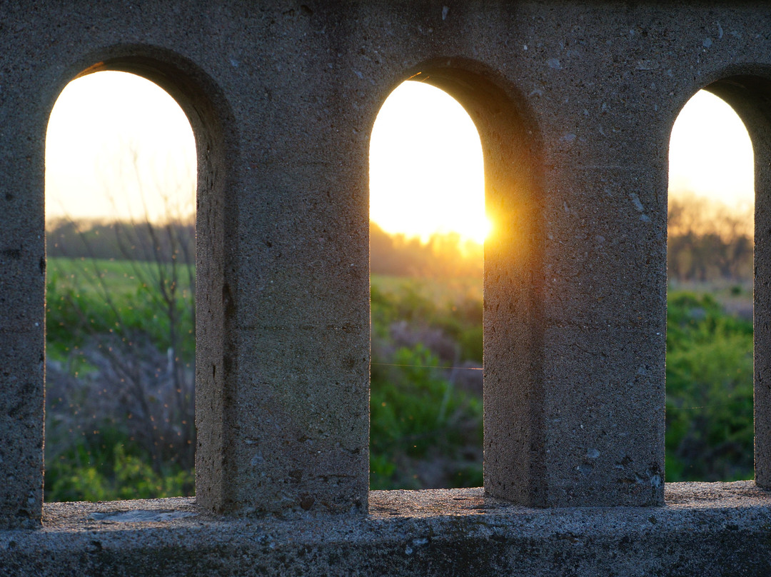 Trenton旅游攻略图片