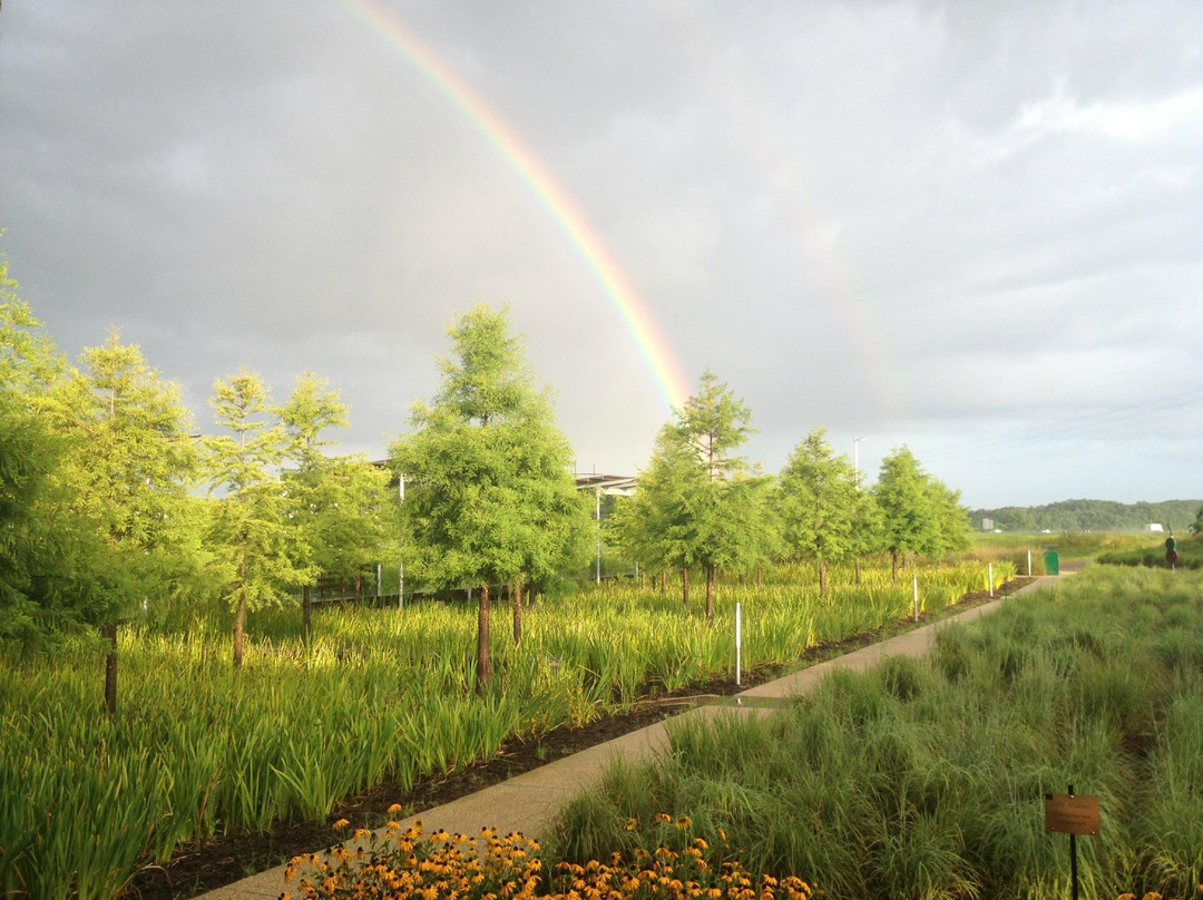 St. Landry Parish Visitor Center景点图片
