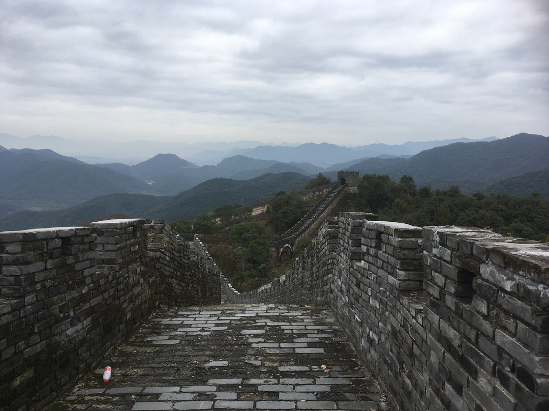 黄贤海上长城森林公园