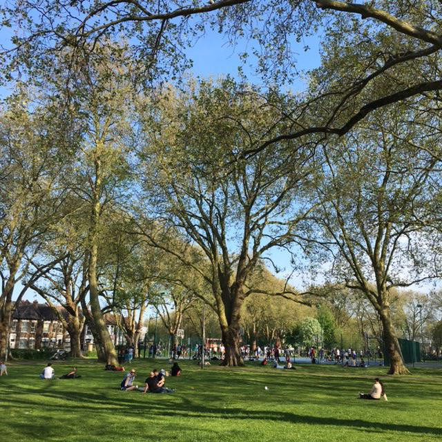 Harringay旅游景点-Ducketts Common