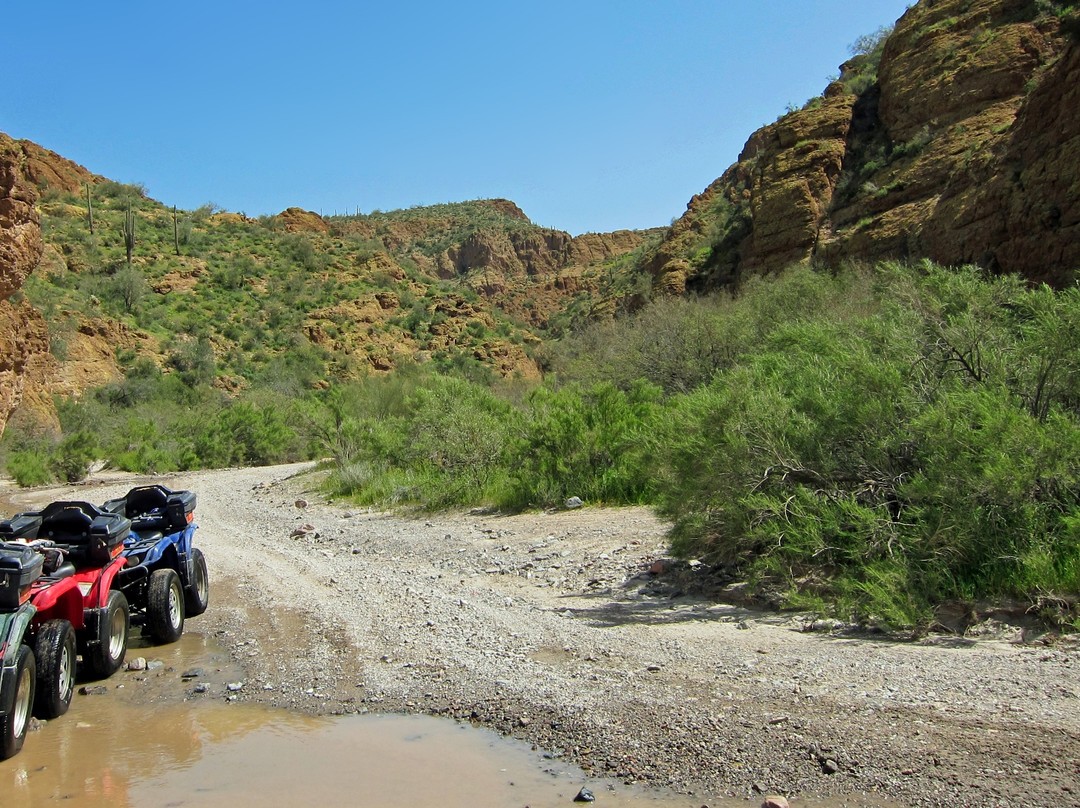 Arizona ATV Adventures-Florence必去景点