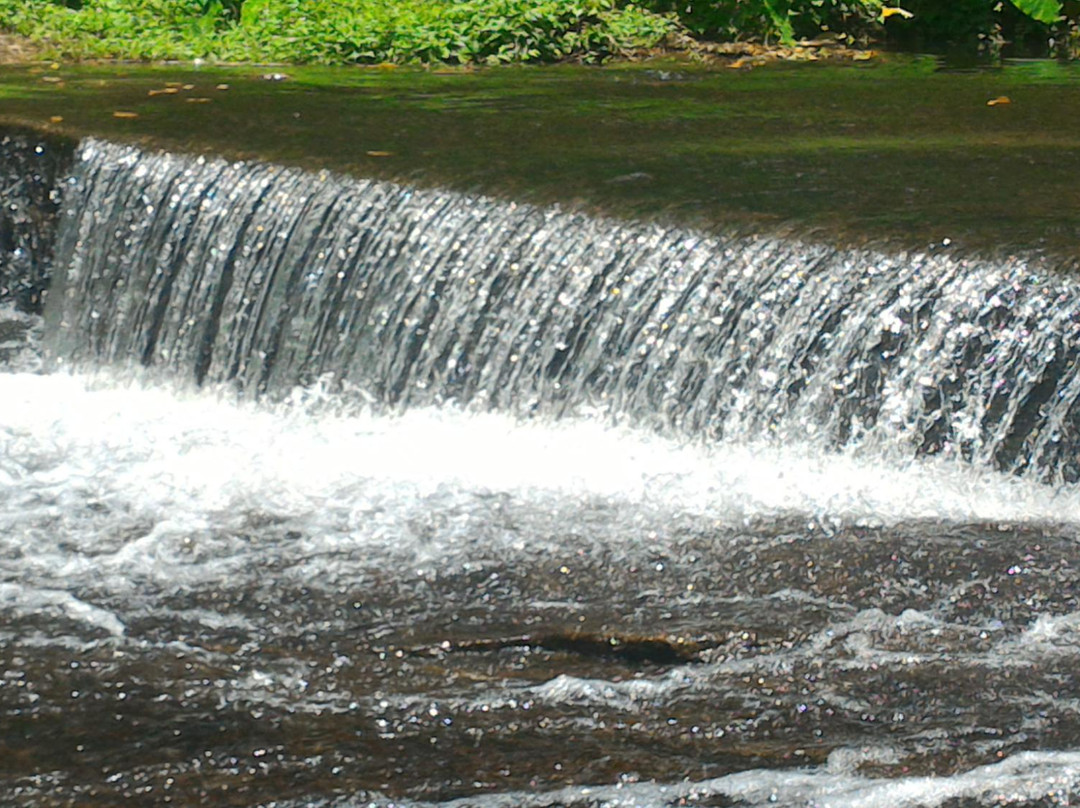 Dhoni Waterfalls景点图片