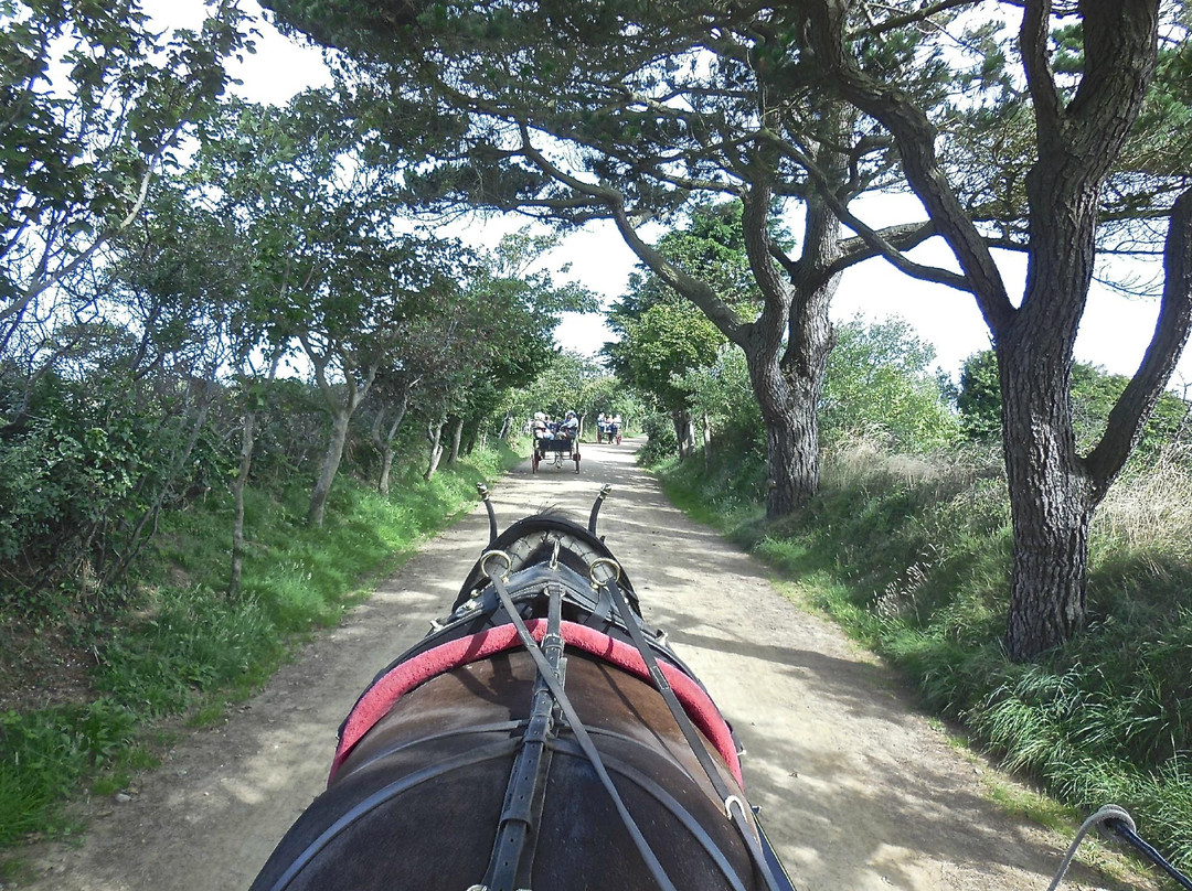 Sark Carriages-Sark必去景点