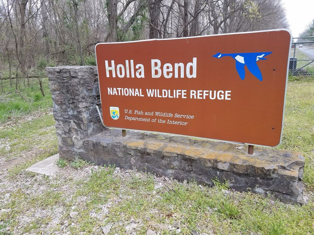 Holla Bend National Wildlife Refuge景点图片