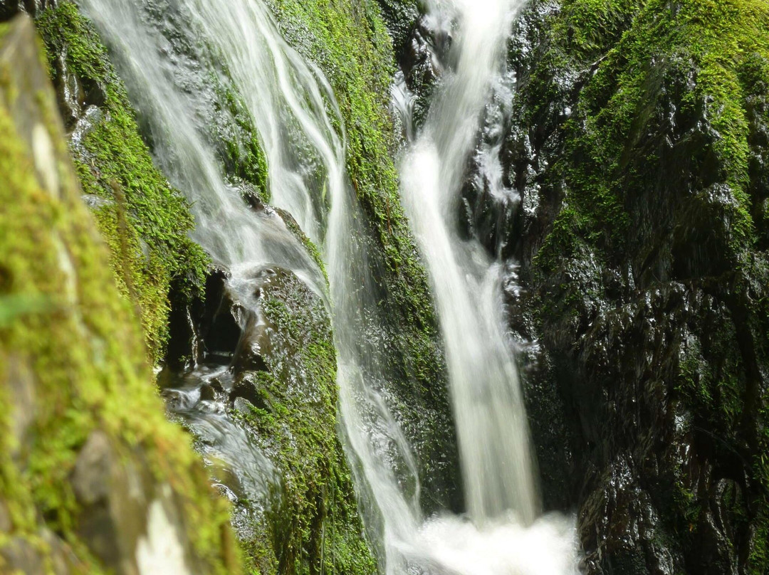 Maliseet Trail景点图片