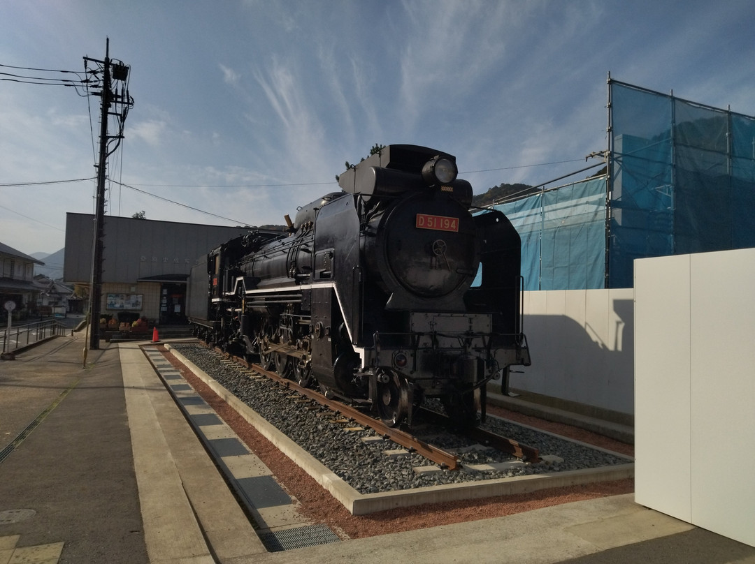 Steam Locomotive D51 No. 194景点图片