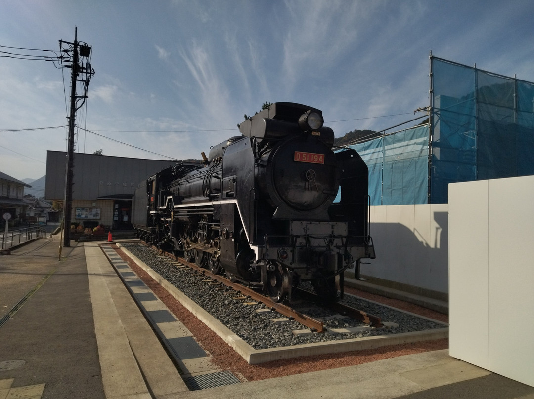 Steam Locomotive D51 No. 194