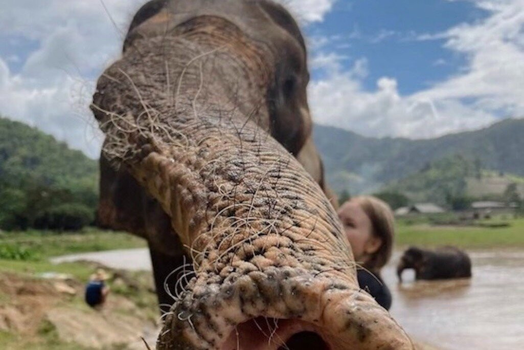 Trunk Travel Co.,Ltd