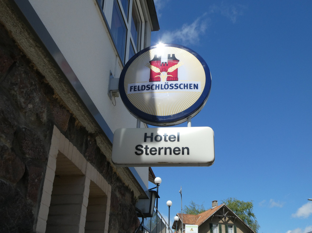 Canton of Glarus餐馆和美食-Restaurant Sternen