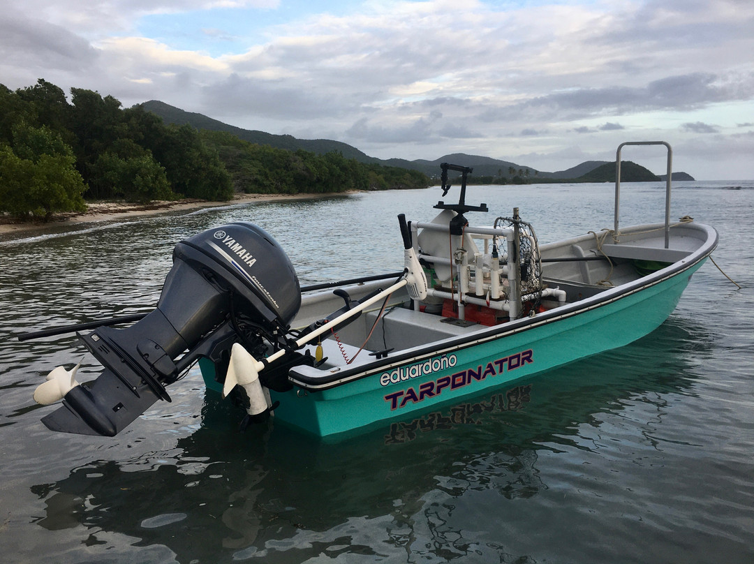 Antigua Fly Fishing Charters-安提瓜必去景点