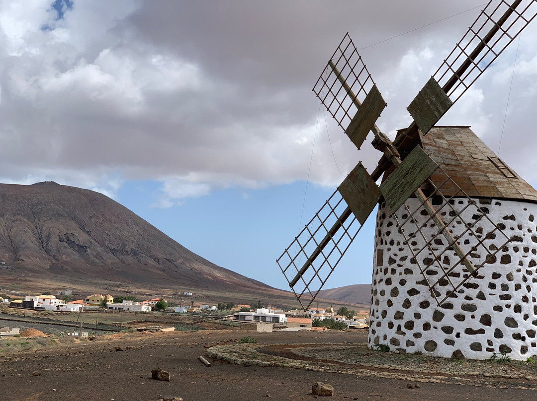 Molinos de Villaverde景点图片