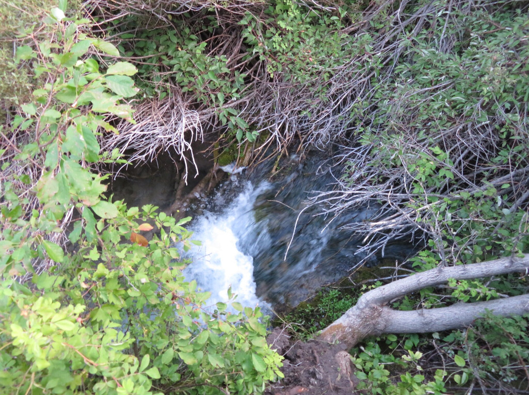 Spearfish Canyon景点图片