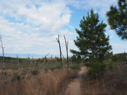 Bastrop State Park-巴斯特罗普必去景点