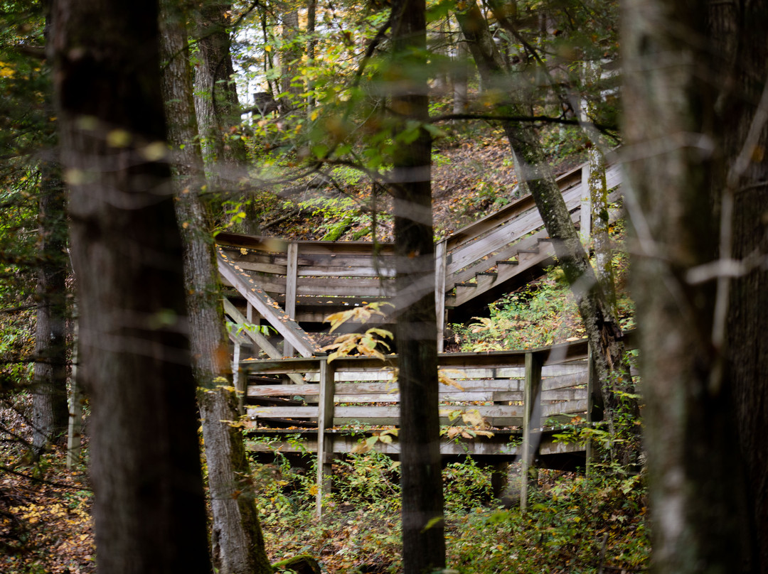 Holly River State Park景点图片