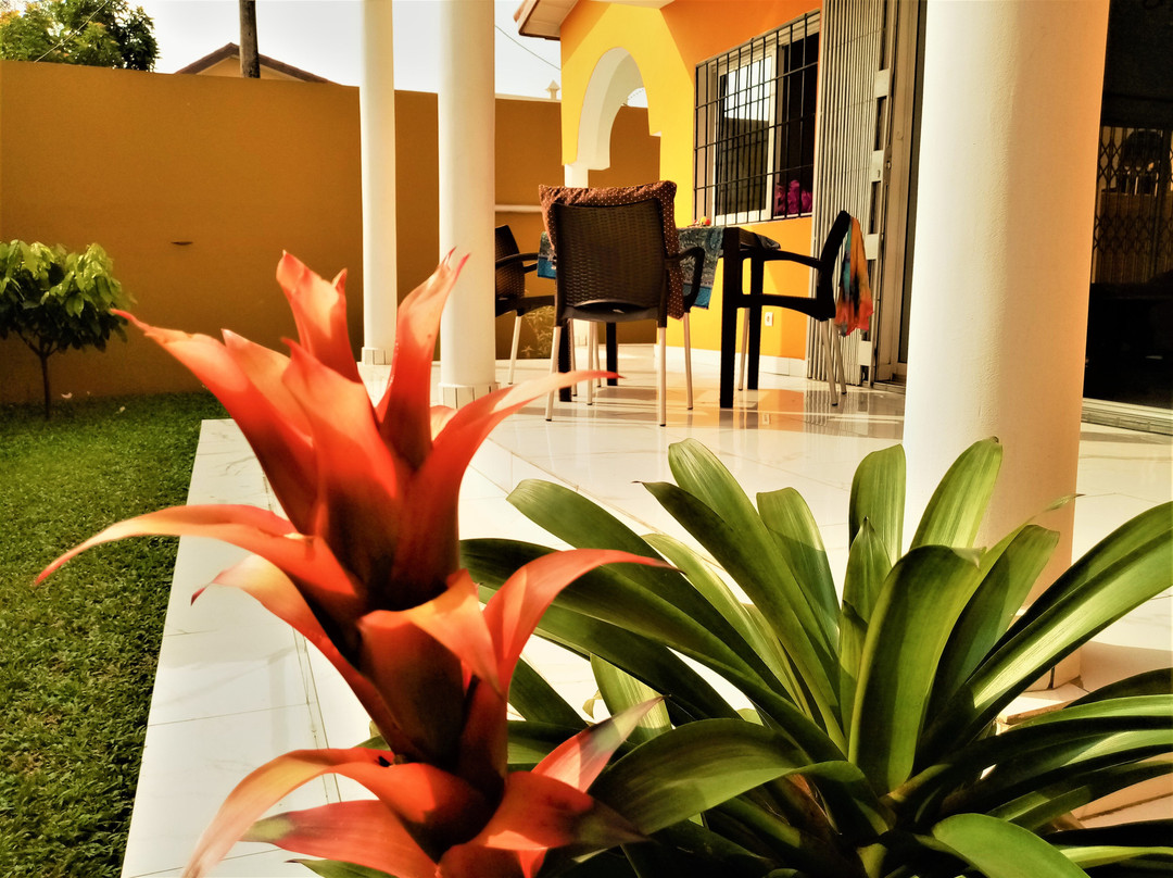 Hôtel Résidence L'Aristocrate主图