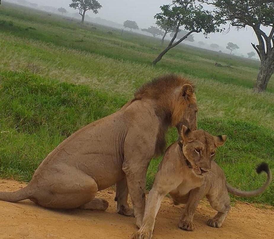 Shangalima safaris limited-莫洛哥罗必去景点