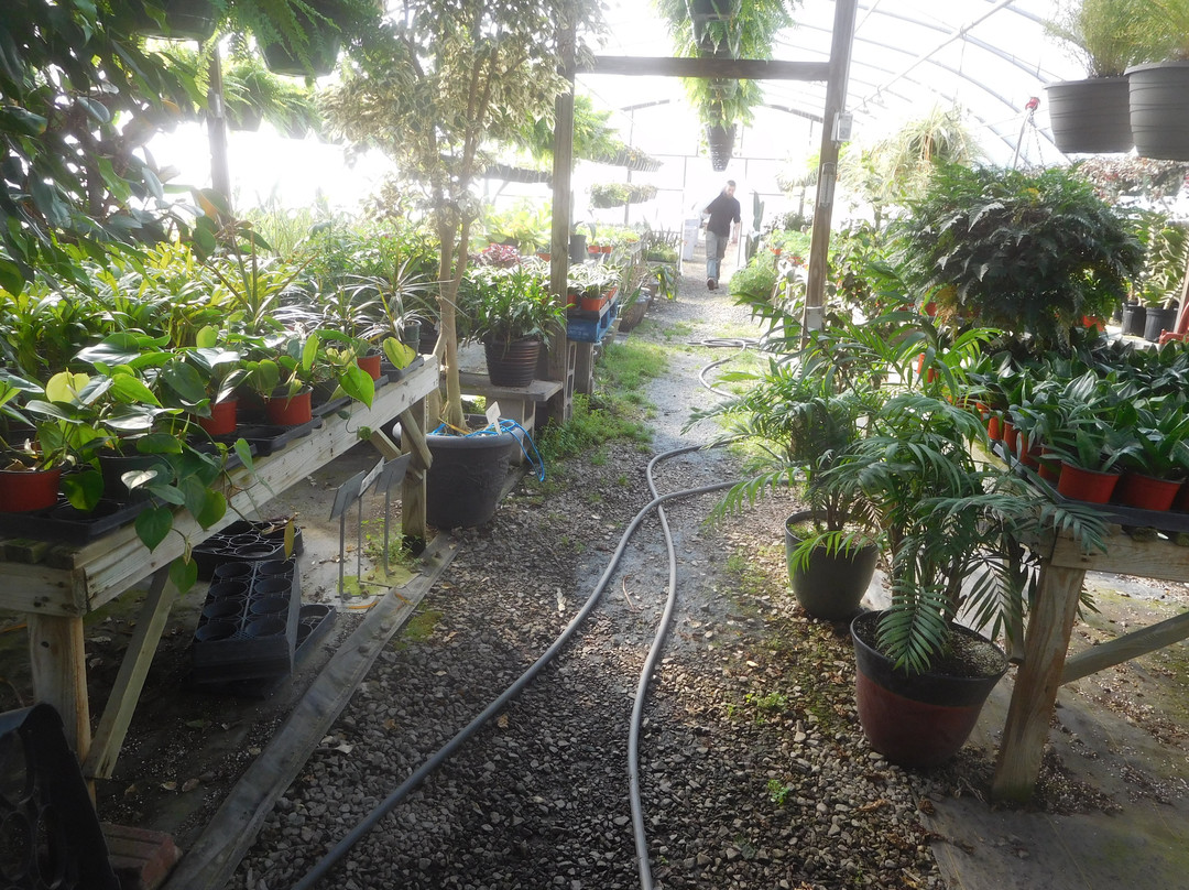 Clay's Garden Center & Farm Market-Blackstone必去景点