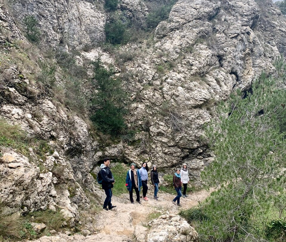 Hike Provence-阿维尼翁必去景点