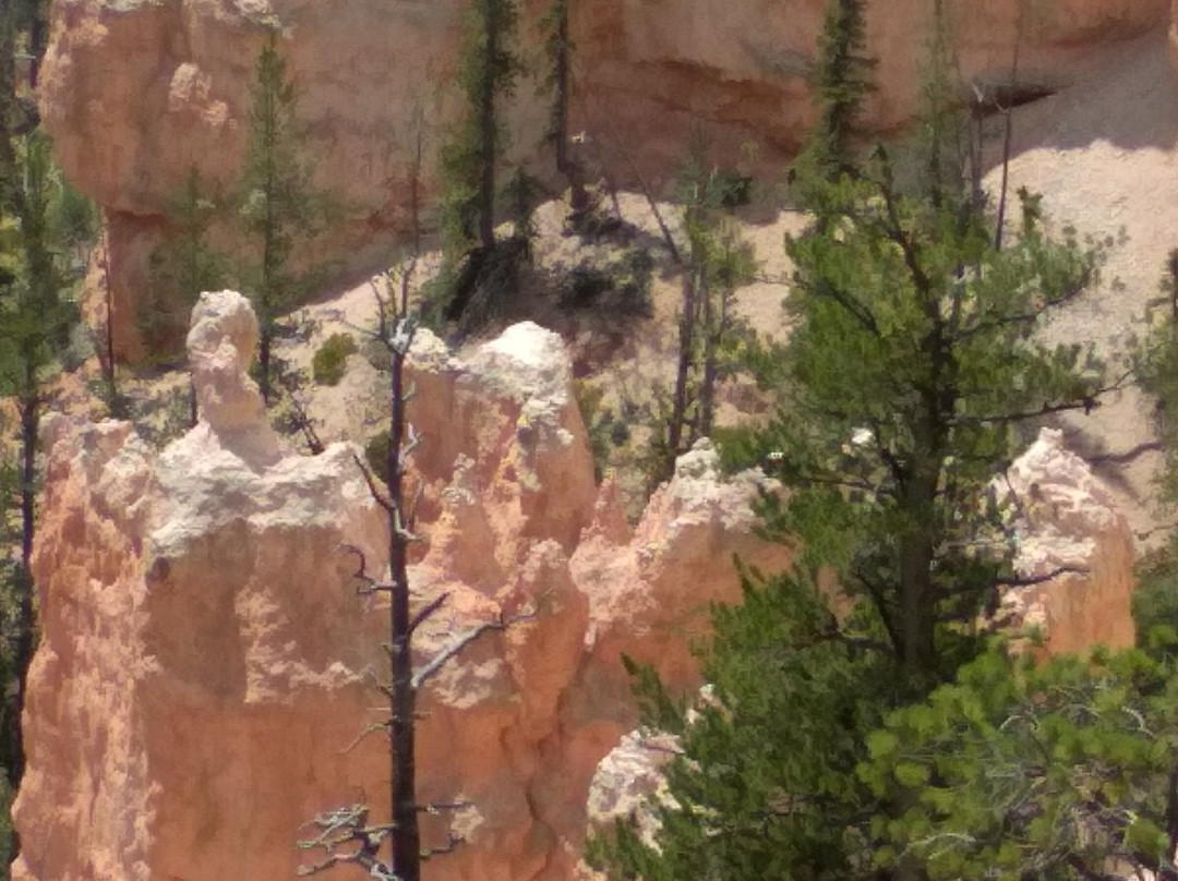 Swamp Canyon-布莱斯峡谷国家公园必去景点