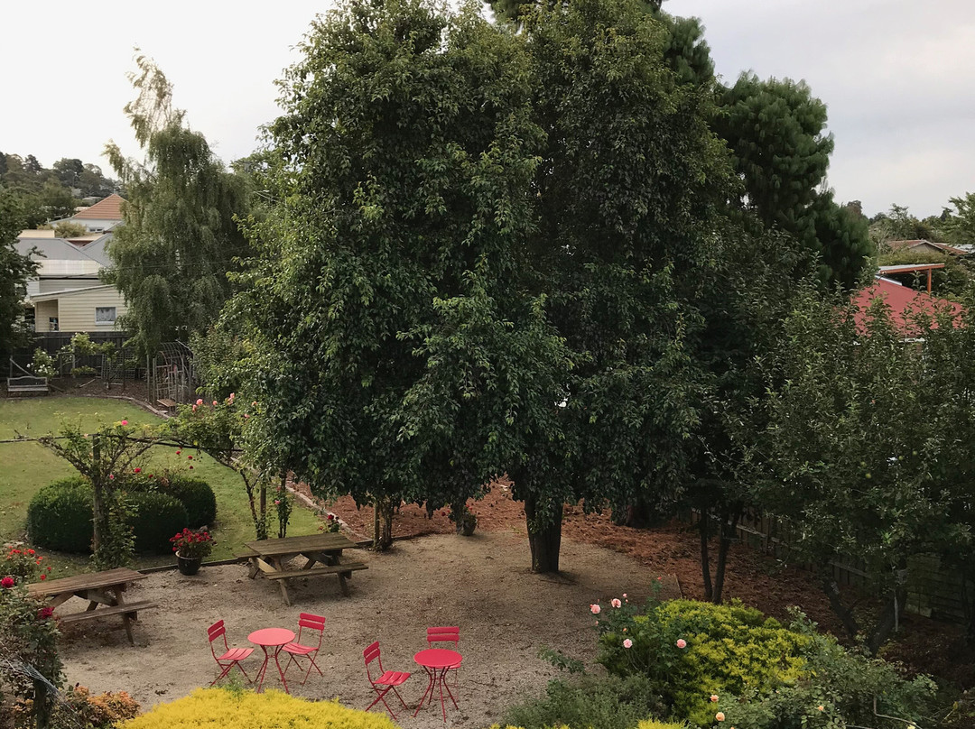 The Dragonfly Inn主图