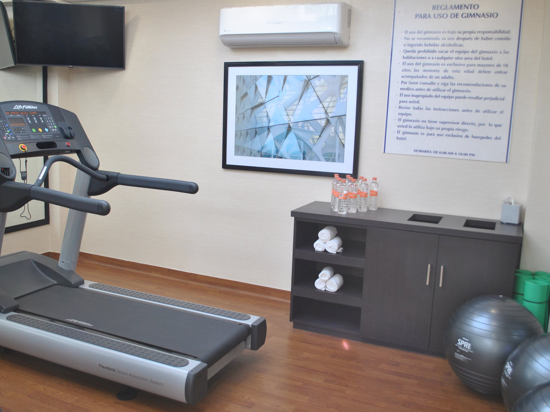 Holiday Inn Express Toluca by IHG主图