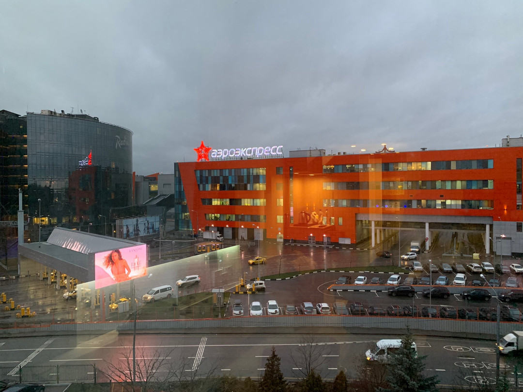 Hotel Novotel Moscow Sheremetyevo Airport主图