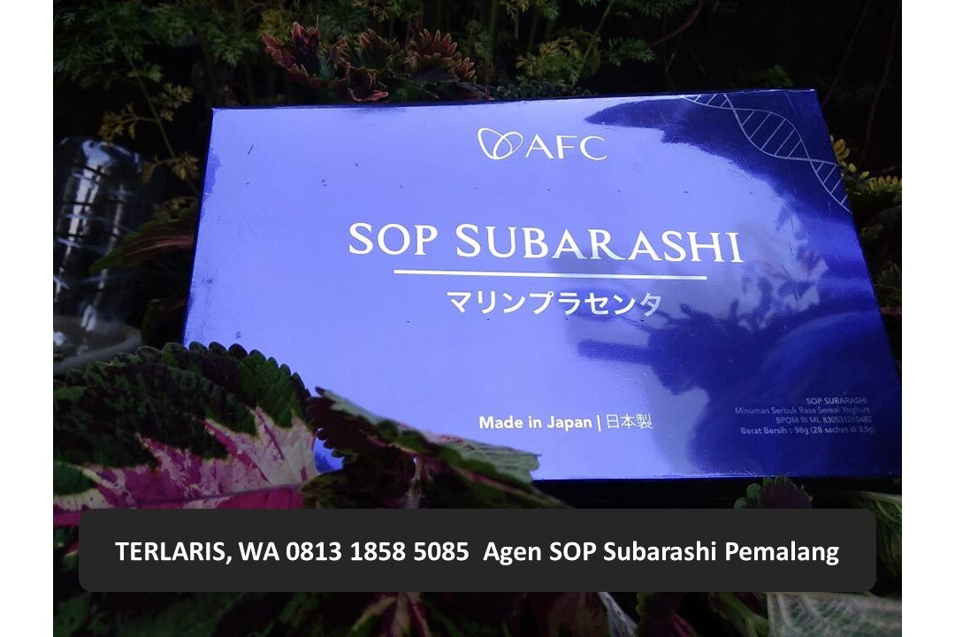 The Winner Premier Hotel主图