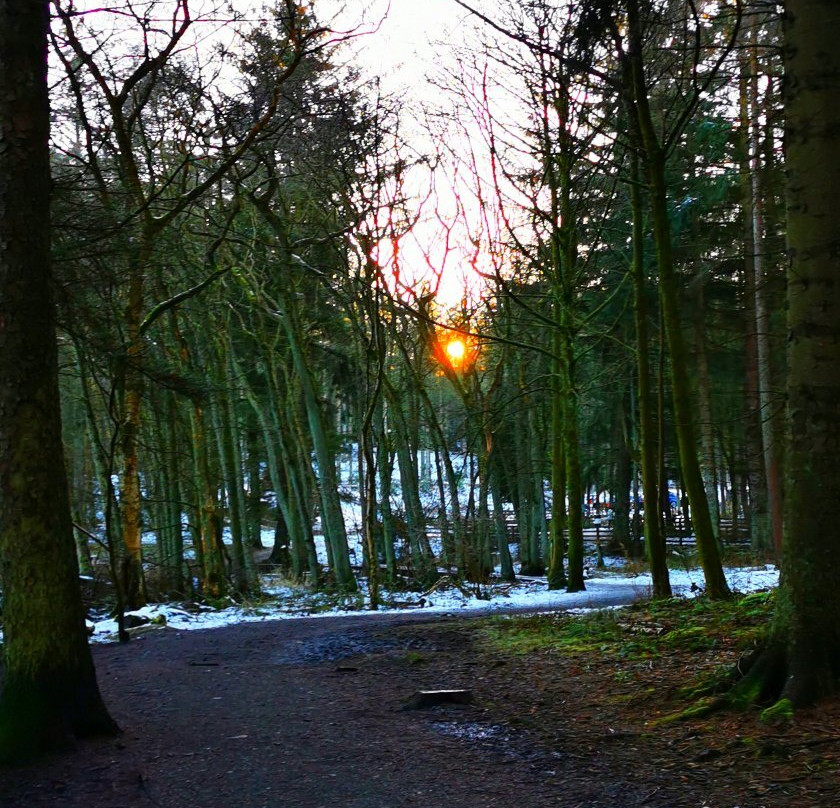 Beecraigs Country Park景点图片