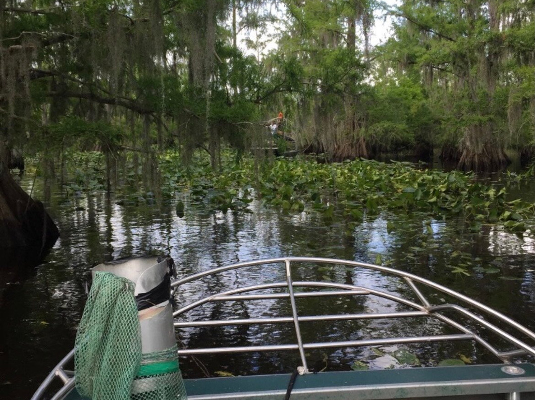 Townsend & Sons Everglades Outfitters-LaBelle必去景点