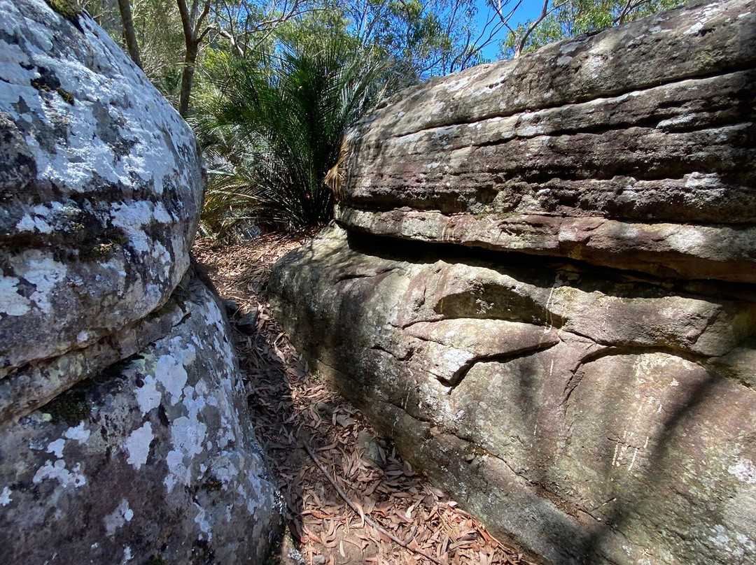 Grotto Walk-North Nowra必去景点