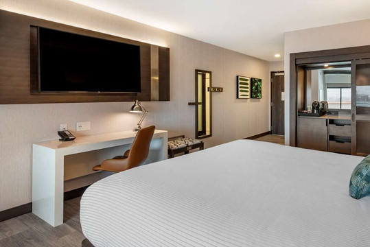 Cambria Hotel Detroit-Shelby Township主图