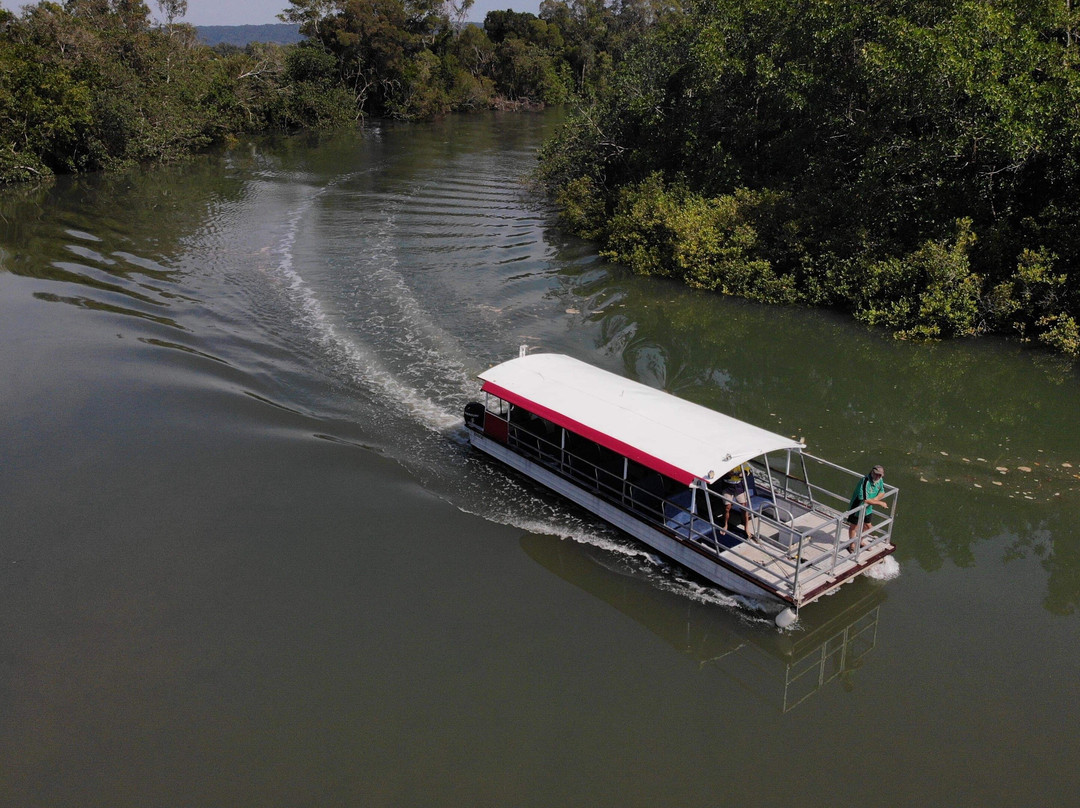 Daintree Crocodile Tours景点图片