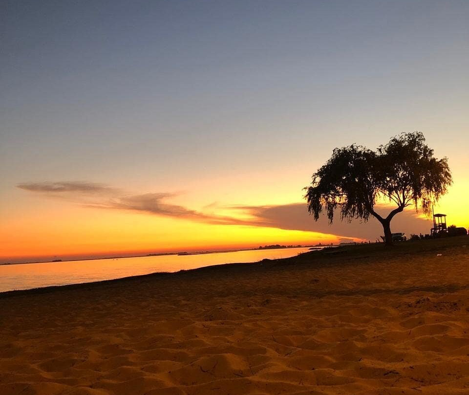 Parque Natural Laguna de Gomez景点图片