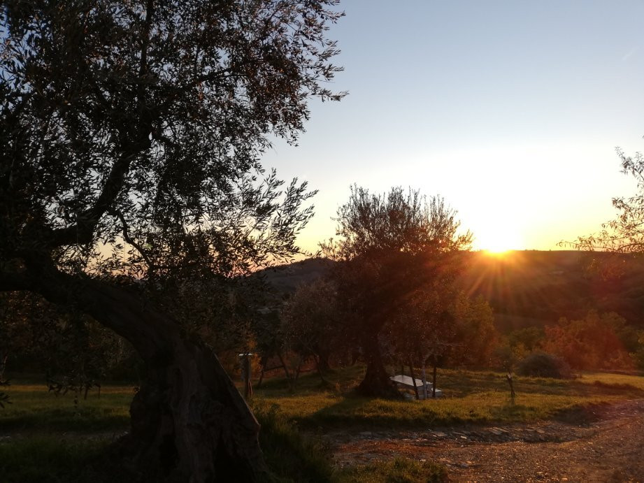 Campsite Rocca di Sotto主图