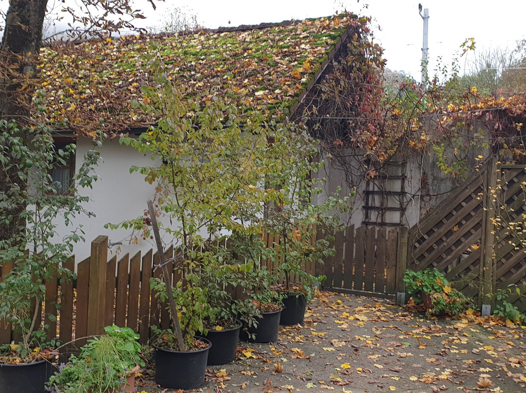 斯坦恩舒乐霍夫酒店主图